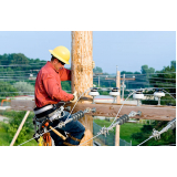 laudo técnico de condições ambientais do trabalho São Caetano do sul
